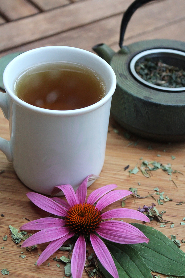 Echinacea Tea