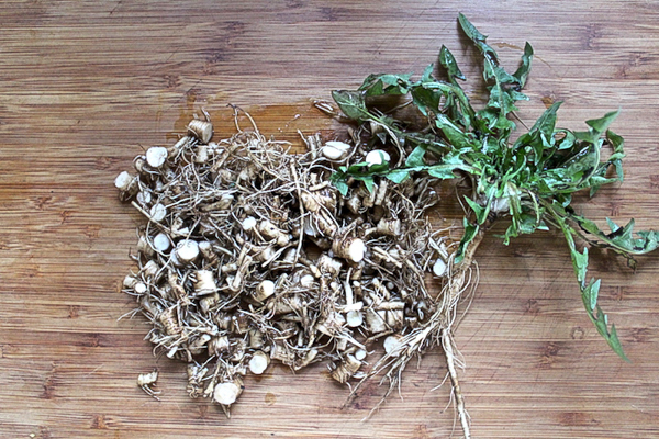 Dandelion Roots for Bitters