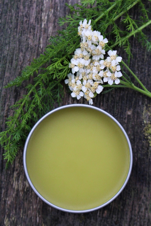 Homemade yarrow salve