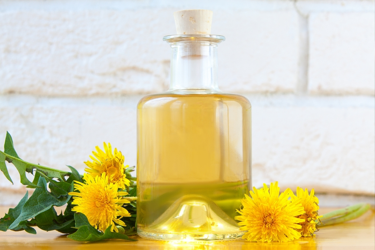 Dandelion Oil