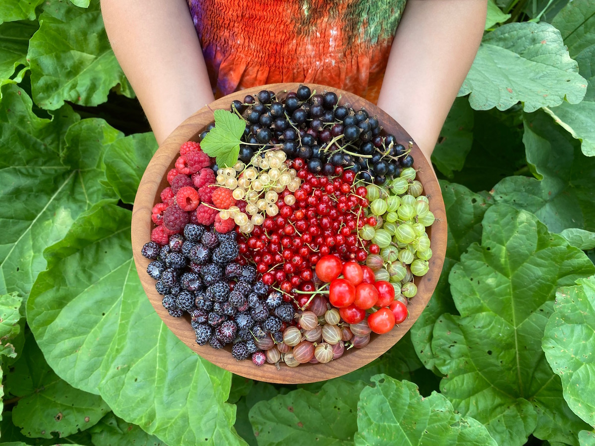 Summer Berries Basket