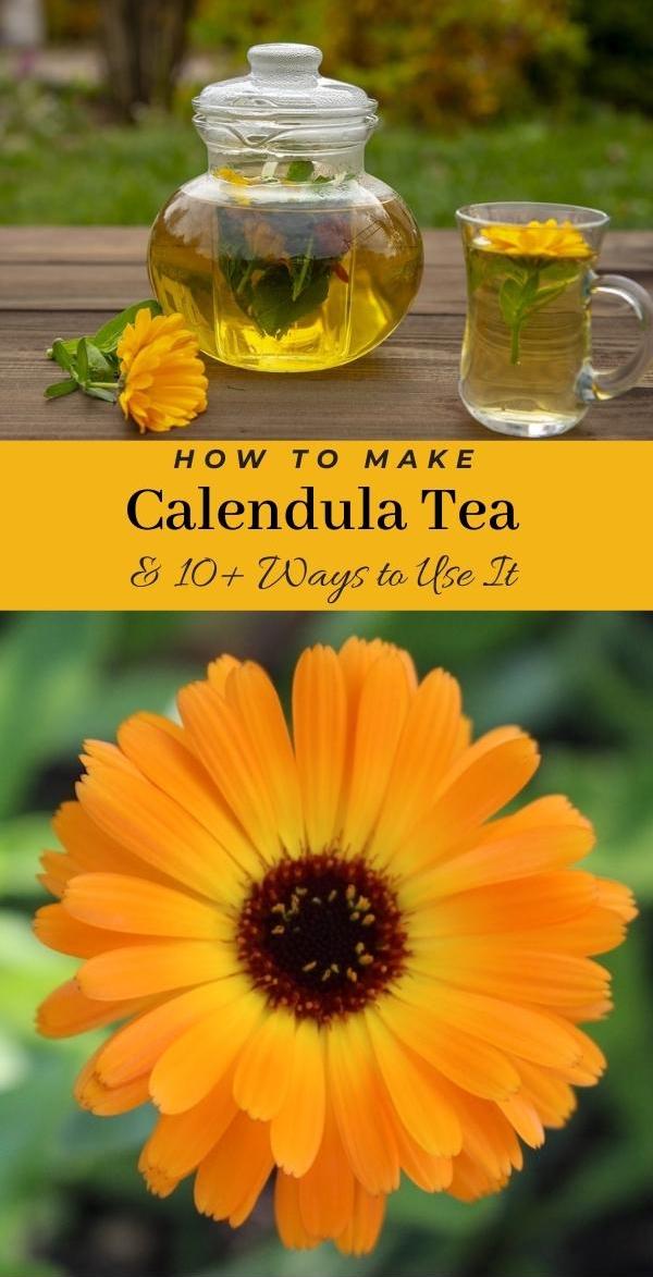 Making Calendula Tea