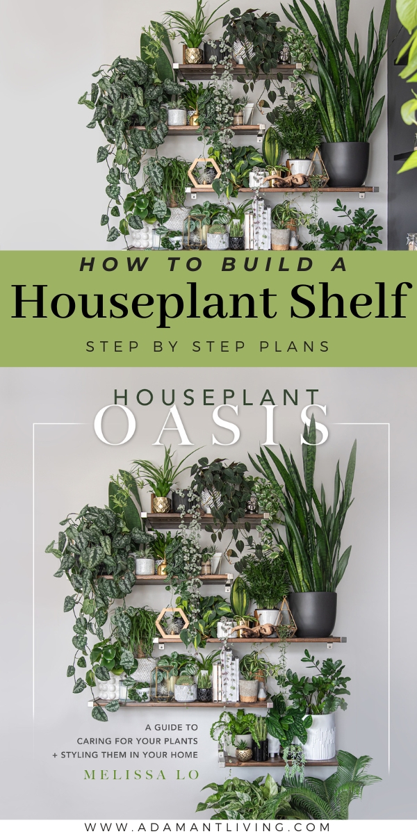 How to Build a Houseplant Shelf