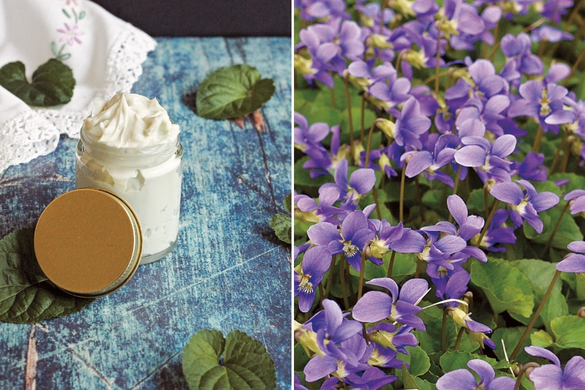 Wild Violet Leaf Skin Cream